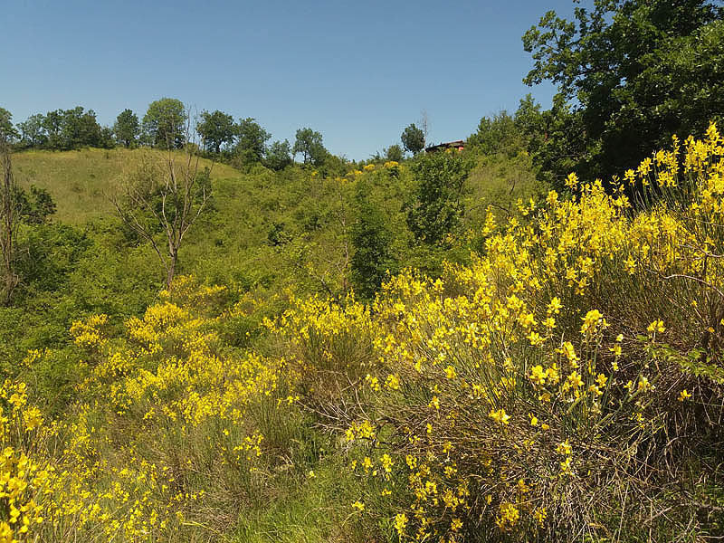 Oasi naturalistica del Carmine